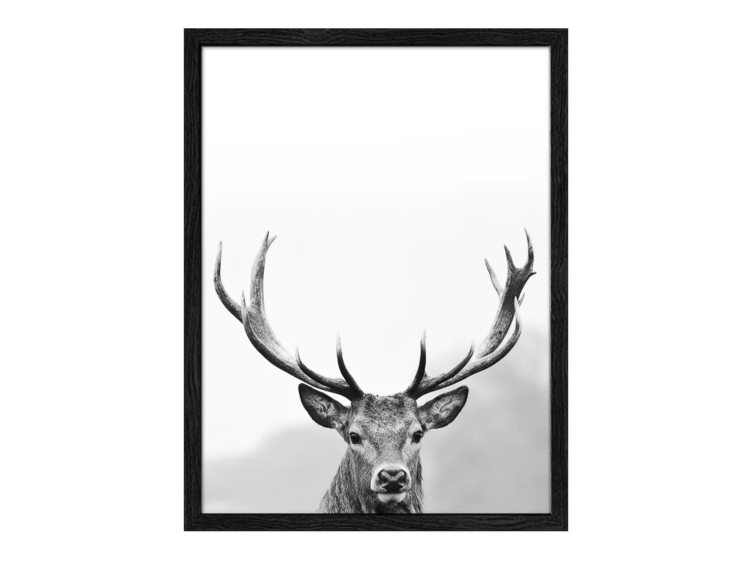 biller-262995