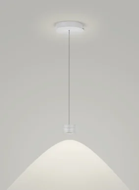 biller-302054