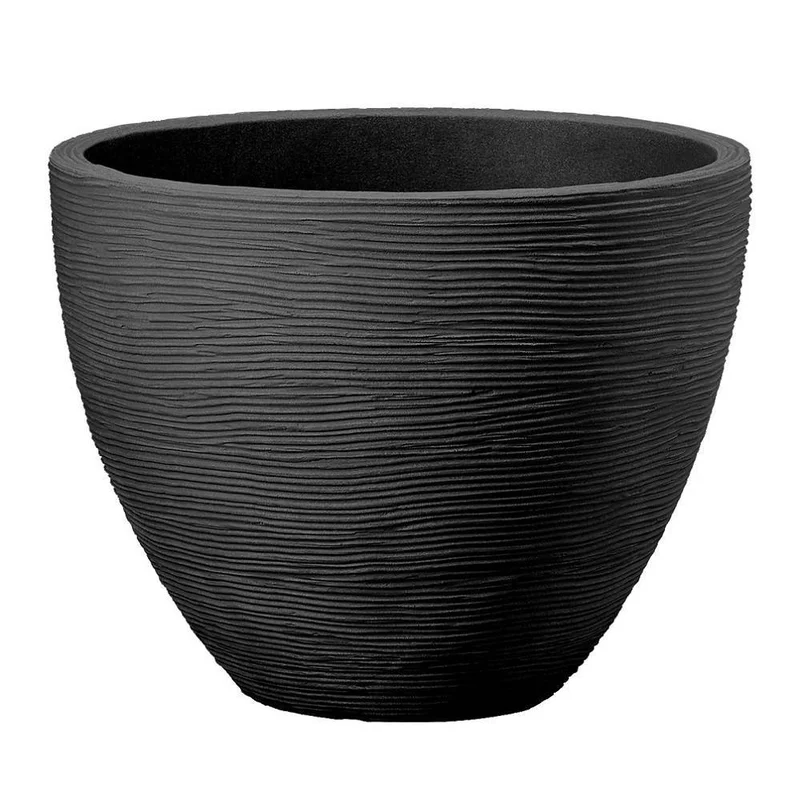 dajar-104901