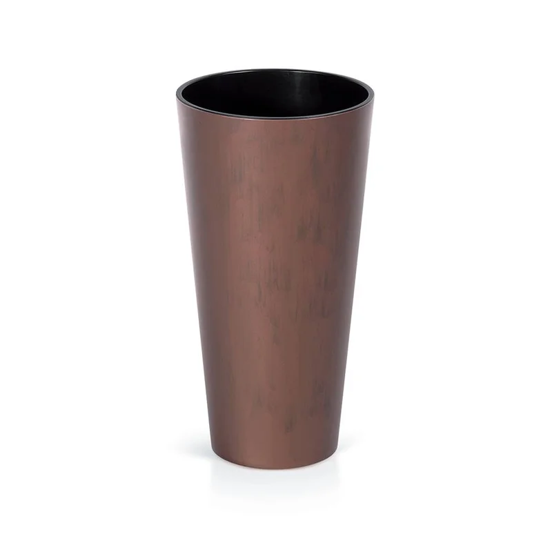 dajar-104977