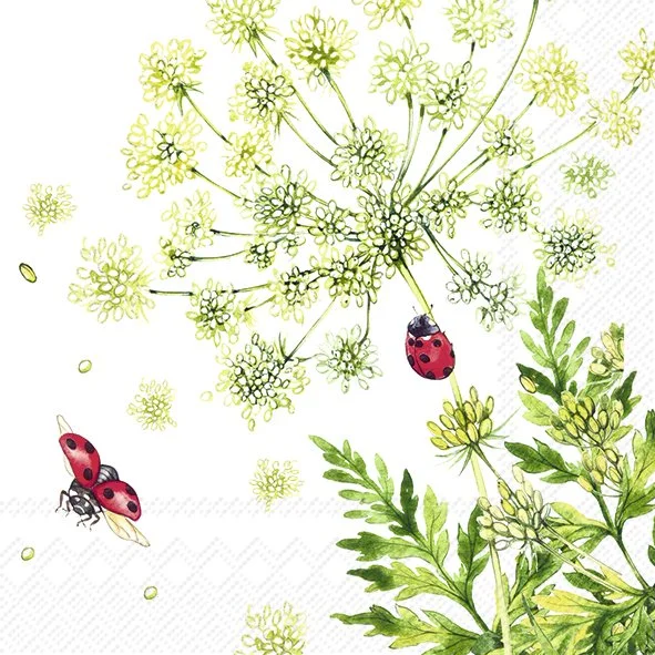 kueche-und-tisch-179119