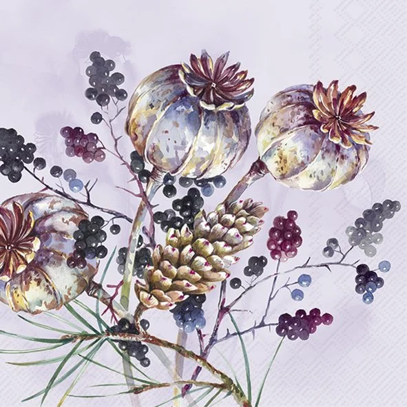 kueche-und-tisch-181368