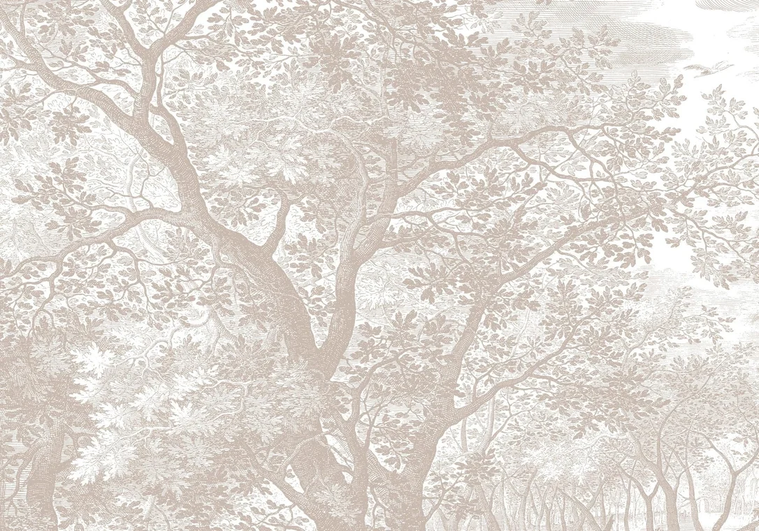 livingandcompany-158084
