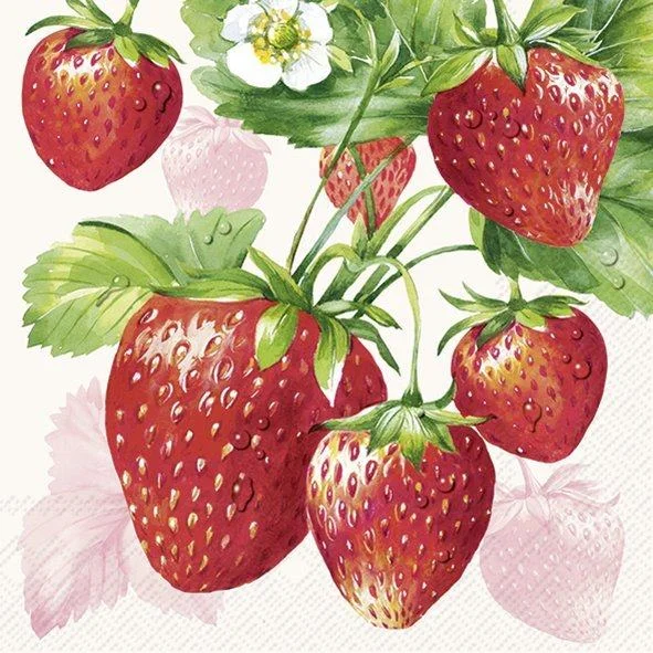 obstmarktno6-127460